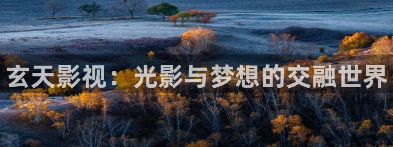 欧美影院不卡：玄天影视：光影与梦想的交融世界
