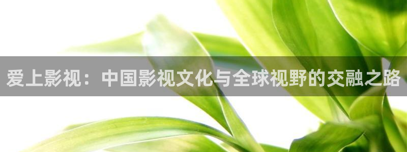 欧美影院第一区