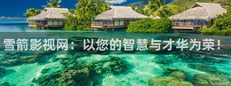 欧美影院.：雪箭影视网：以您的智慧与才华为荣！