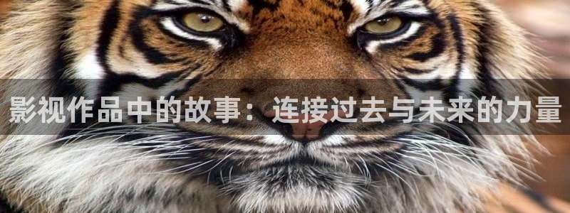 色悠悠欧美影院：影视作品中的故事：连接过去与未来的力量