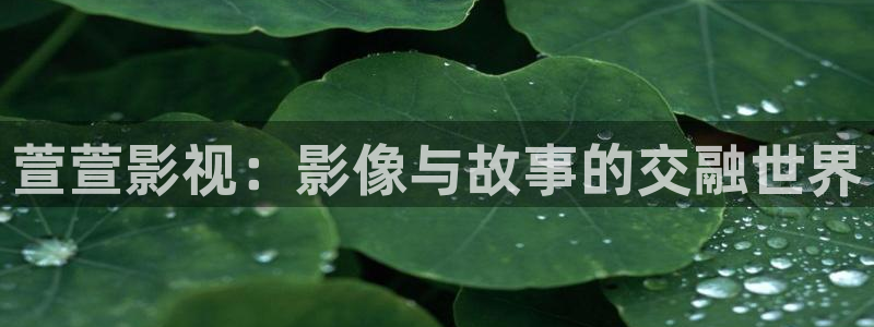 欧美影院在线影院：萱萱影视：影像与故事的交融世界