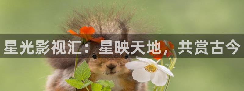 欧美影院草草影院